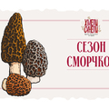 Сезон сморчков