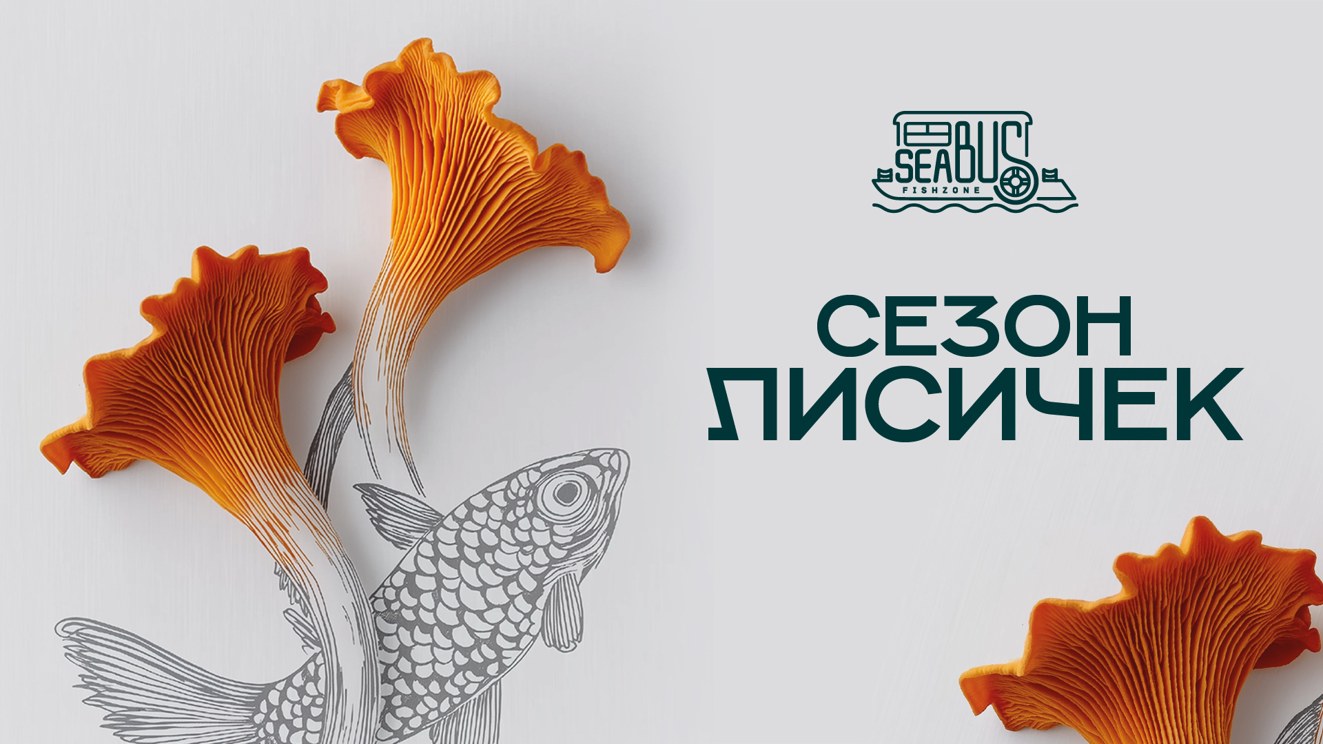 Лисички в Sea Bus